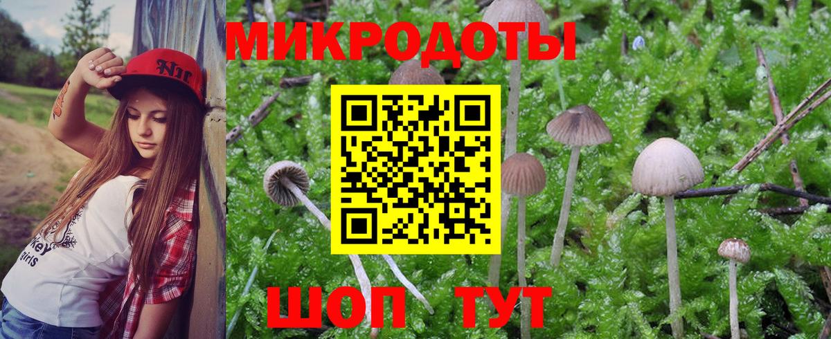 Псилоцибиновые грибы Psilocybine cubensis Волжский