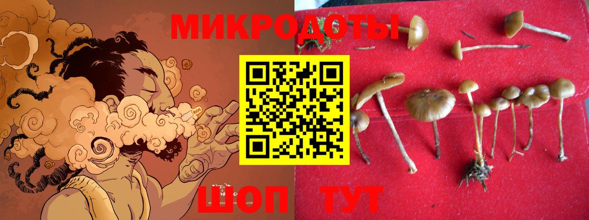 Волжский  как найти наркотики  Вход с VPN  Псилоцибиновые грибы ЛСД 
